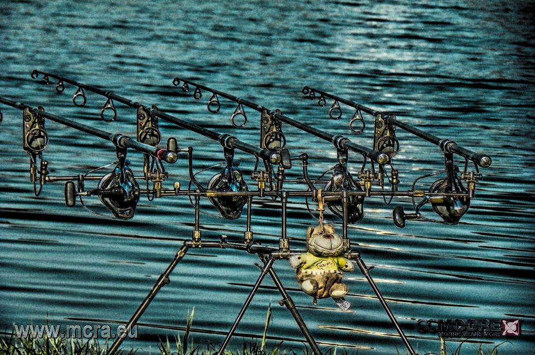 MeetCarp Romanian Awards 2013 (2) - 1016868hdrmode2-2.jpg